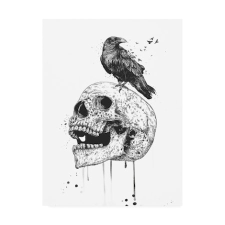 Balazs Solti 'New Skull' Canvas Art,18x24